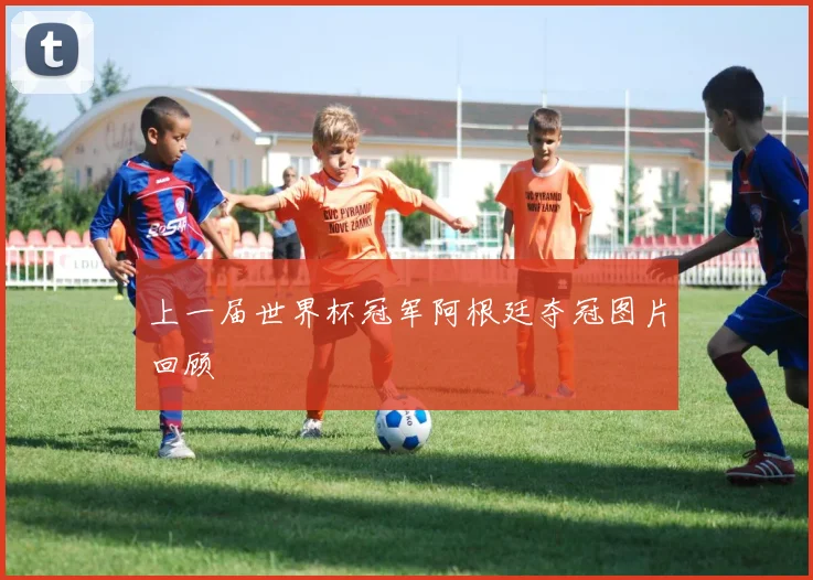 上一届世界杯冠军阿根廷夺冠图片回顾