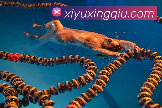 国际认证