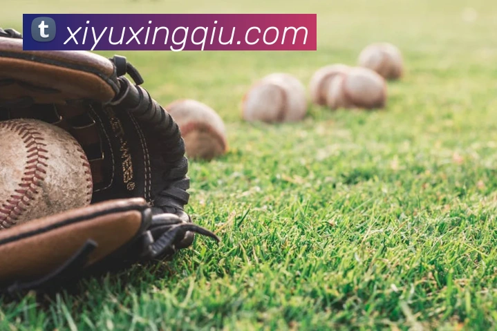 爱游戏ayx官方首页全站App